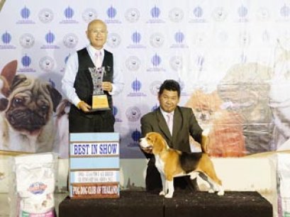 TAWANNA NGAMWONGWAN NATIONAL DOG SHOW 2/2015_AB3