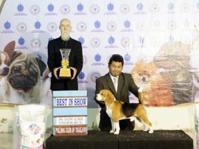 TAWANNA NGAMWONGWAN NATIONAL DOG SHOW 2/2015_AB4