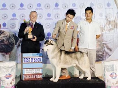 TAWANNA NGAMWONGWAN NATIONAL DOG SHOW 2/2015_AB1