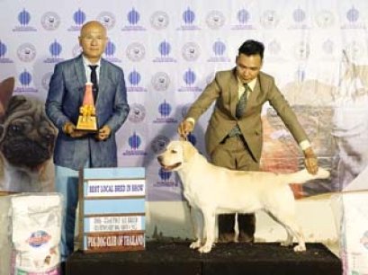 APAC.TH.CH.WESTLAND CHATEAU LE CHANNAL