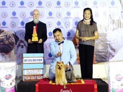 INT.TH.GR.MAL.GR.PHIL.GR.IND.CH.NANETTE'S OCTOBER SAND DUNE