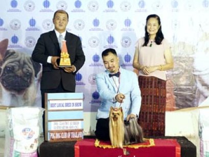 INT.TH.GR.MAL.GR.PHIL.GR.IND.CH.NANETTE'S OCTOBER SAND DUNE