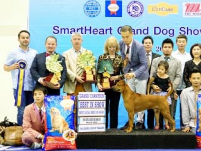 Bangkok FCI International Championship Dog Show 2015_AB3