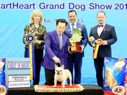 Bangkok FCI International Championship Dog Show 2015_AB4