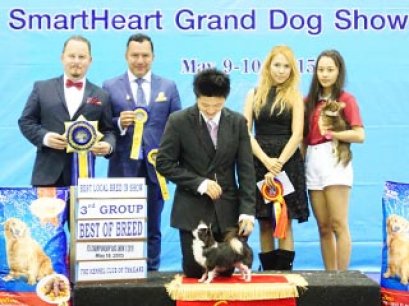 TH.CH.SANTANA'S SHUZI