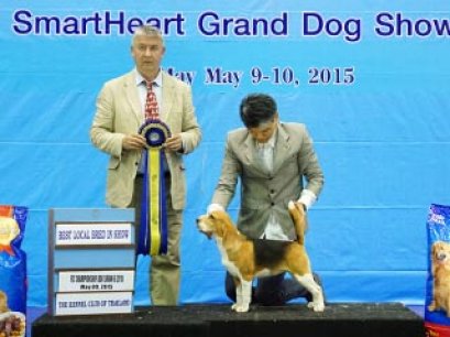 TH.CH.CAESAR'S SECRET SMILE