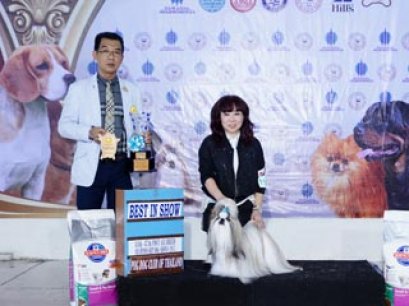 TAWANNA NGAMWONGWAN NATIONAL DOG SHOW 3/2015_AB1