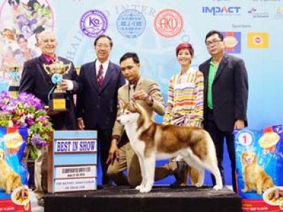 Thailand International Dog Show 2015_AKU