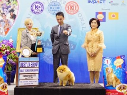 Thailand International Dog Show 2015_FCI10