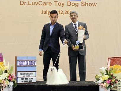 Toy Dog Championship Dog Show 4/2015_AB1