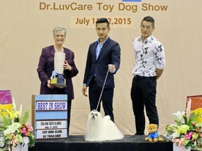 Toy Dog Championship Dog Show 4/2015_AB2