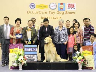 Toy Dog Championship Dog Show 4/2015_AB3