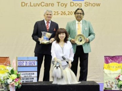 Toy Dog Championship Dog Show 5/2015_AB1