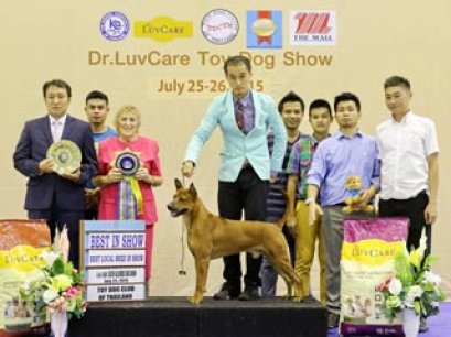 Toy Dog Championship Dog Show 5/2015_AB2