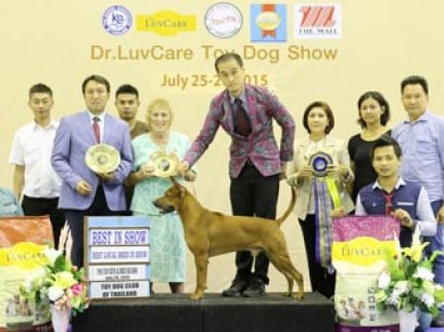 Toy Dog Championship Dog Show 5/2015_AB4