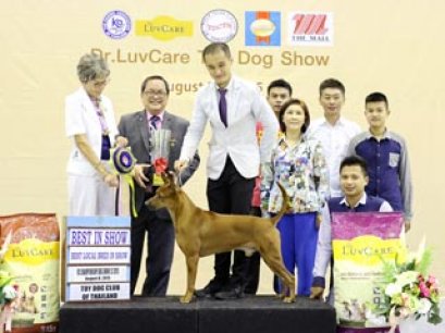 Toy Dog Championship Dog Show 6/2015_AB2
