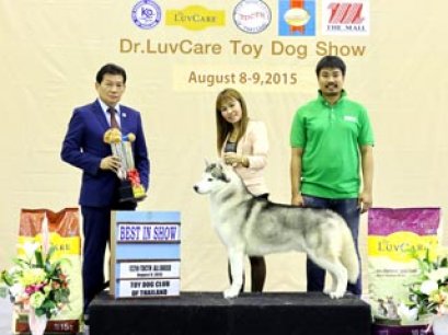 Toy Dog Championship Dog Show 6/2015_AB3