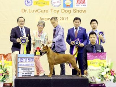 Toy Dog Championship Dog Show 6/2015_AB4