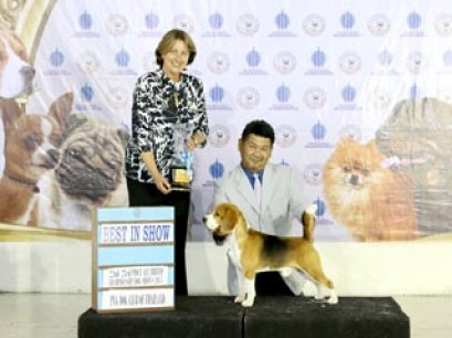 TAWANNA NATIONAL DOG SHOW 2015_AB1