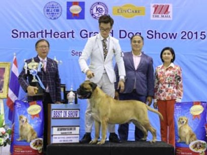 2/2015 AKU CHAMPIONSHIP DOG SHOW