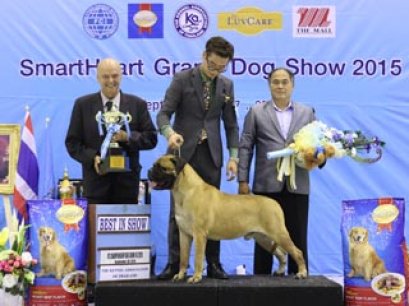 16th 2015 FCI INTERNATIONAL DOG SHOW