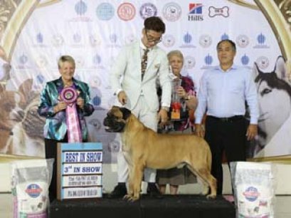 92th PDCT ALL BREED CHAMPIONSHIP DOG SHOW