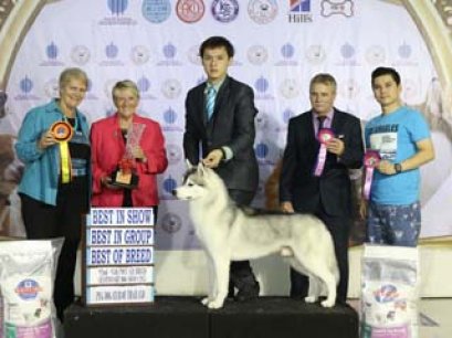 93th PDCT ALL BREED CHAMPIONSHIP DOG SHOW