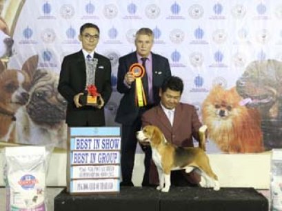 95th PDCT ALL BREED CHAMPIONSHIP DOG SHOW