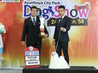 36th TCTH ALL BREED CHAMPIONSHIP DOG SHOW