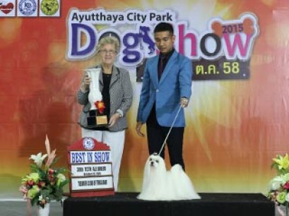 38th TCTH ALL BREED CHAMPIONSHIP DOG SHOW