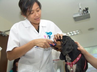 หนาวนี้เลี้ยงน้องมาอย่างไรดีหนอ