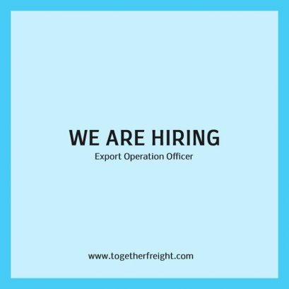 Export Operation Officer