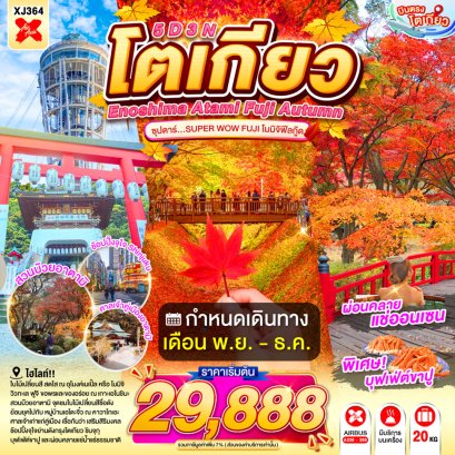 ทัวร์ญี่ปุ่น ทัวร์ญี่ปุ่นราคาถูก ทัวร์ญี่ปุ่นโตเกียว ทัวร์ญี่ปุ่นฟูจิ