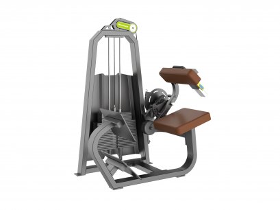 เครื่องฝึกกล้ามเนื้อ หลังสะบักเอว  Back Extension