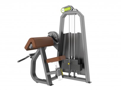 เครื่องฝึกกล้ามเนื้อหน้าแขน  Camber Curl