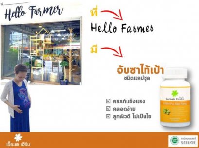 จับซาไท้เป้าชนิดแคปซูลที่ภูเก็ต