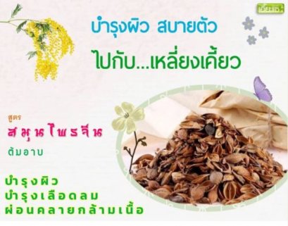 บำรุงผิว สบายตัว ไปกับ...เหลี่ยงเคี้ยว 连翘 