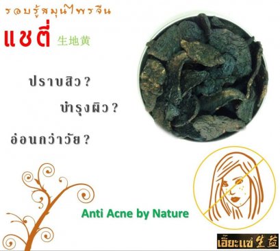 แชตี่ 生地黄