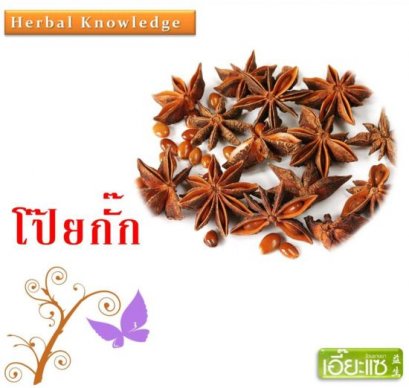 โป๊ยกั๊ก  八角 (Chinese star anise)