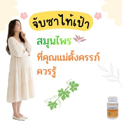 จับซาไท้เป้า สมุนไพรที่คุณแม่ตั้งครรภ์ ต้องรู้...