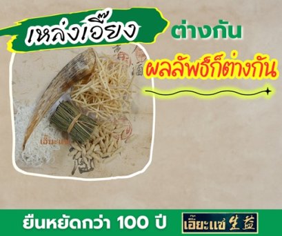 เหล่งเอี๊ยงต่างกัน ผลลัพธ์ก็ต่างกัน