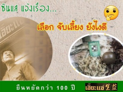 เลือกจับเลี้ยงอย่างไรดี