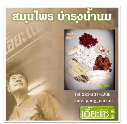 สมุนไพร บำรุงน้ำนม