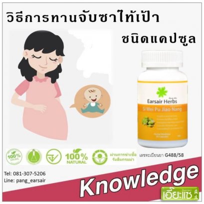 วิธีทาน จับซาไท้เป้าชนิดแคปซูล