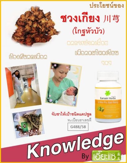 ชวงเกียง(โกฐหัวบัว)