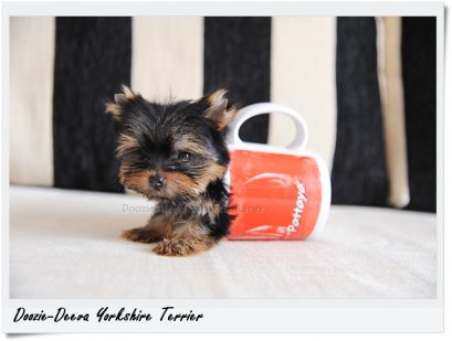 ภาวะน้ำตาลในกระแสเลือดต่ำ