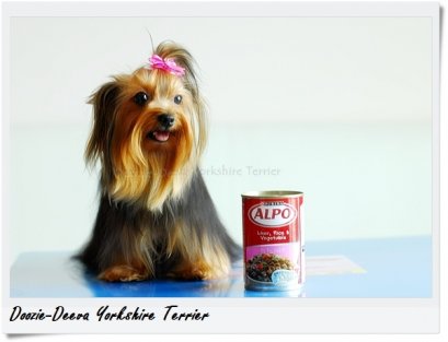 หินปูนหรือหินน้ำลาย