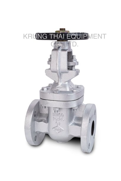 TOYO - Cast Iron Gate Valve Model 423E