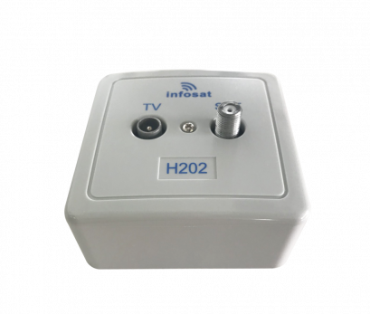 INF-H202