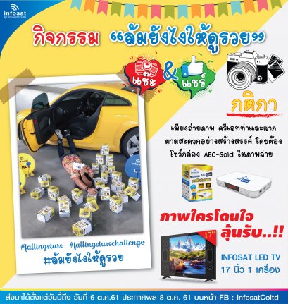 Fallingstarschallenge